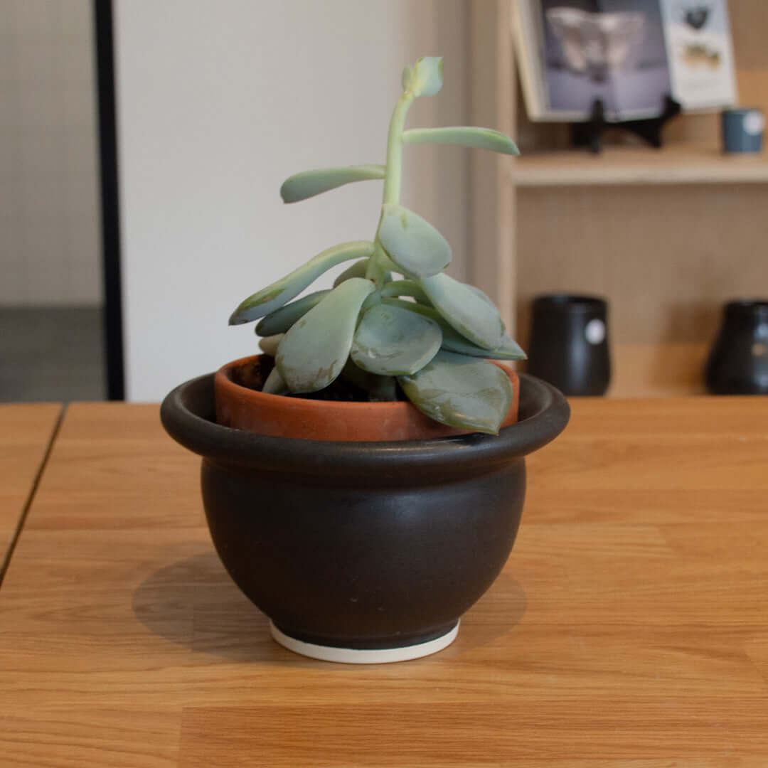 Jardinière ou Cache-pot