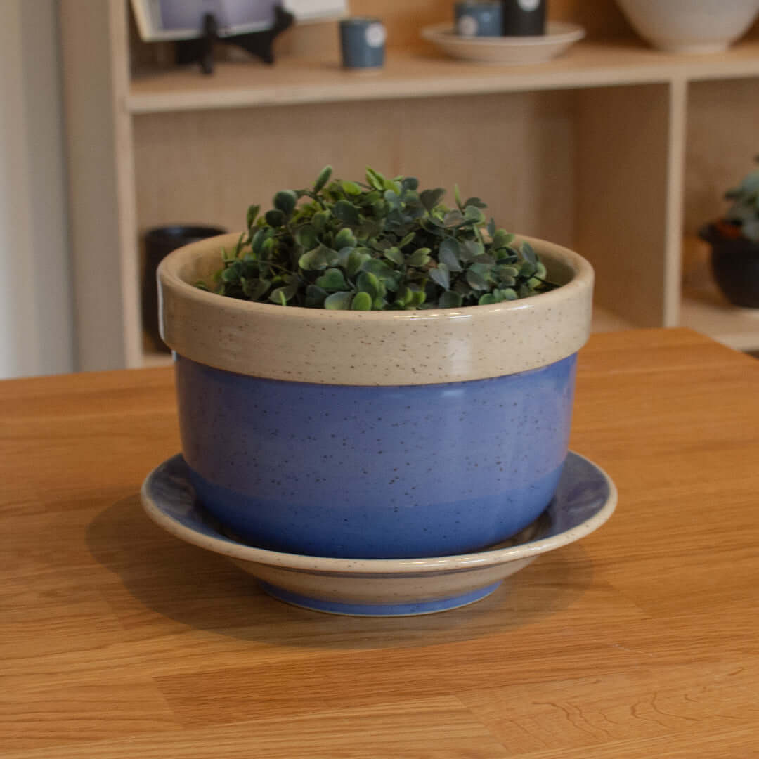 Jardinière ou Cache-pot